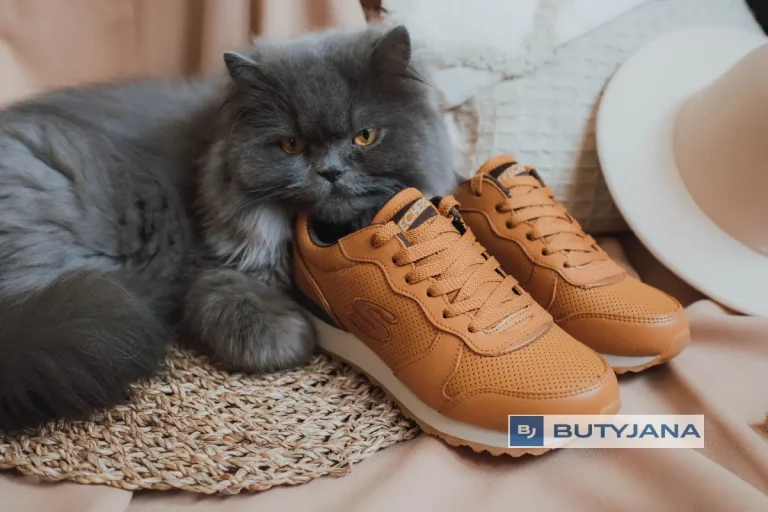 Damskie obuwie Skechers OG 85-Porthole – wygodne buty na wiosnę