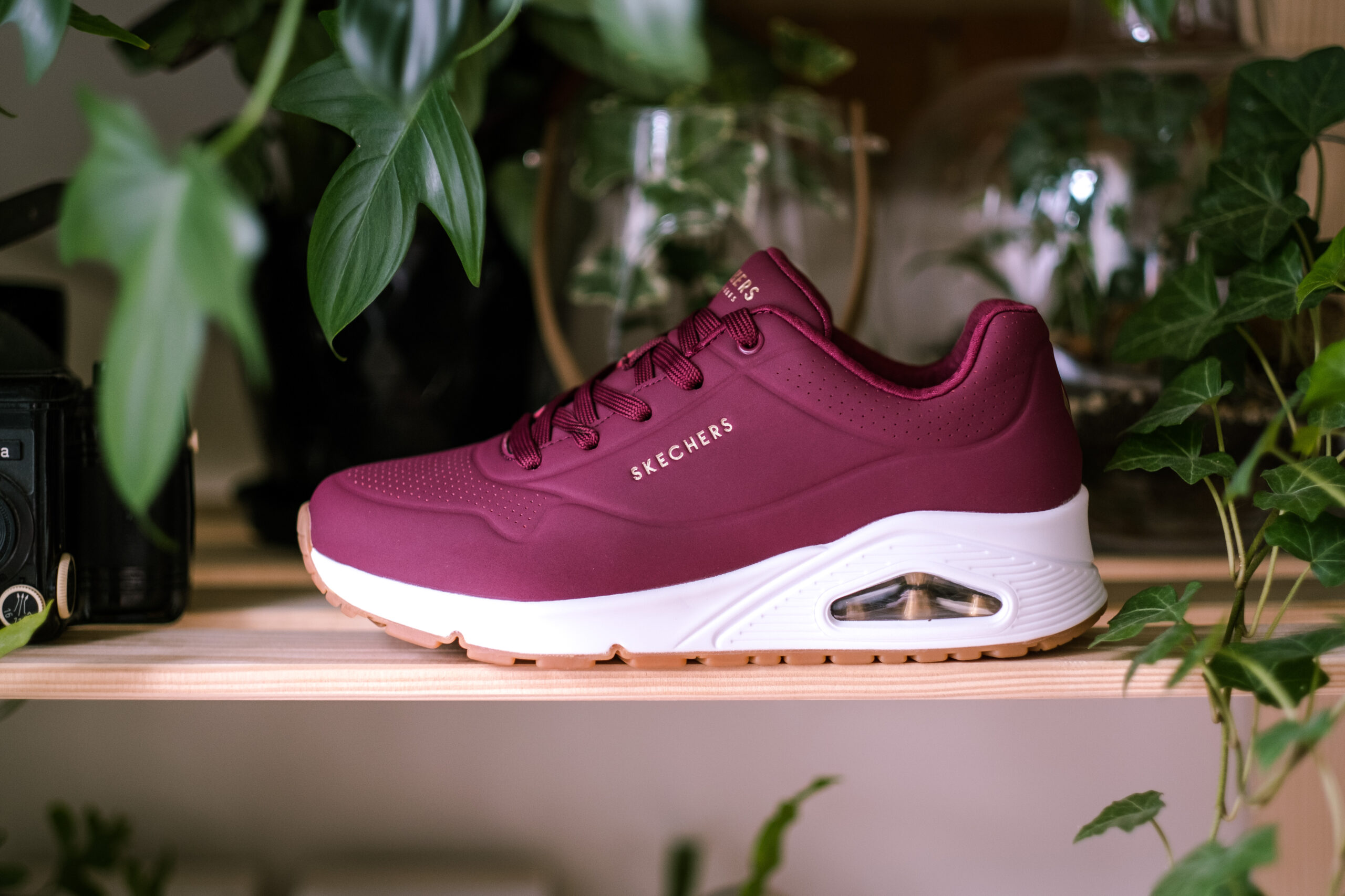 Jak czyścić buty Skechers. Poradnik krok po kroku