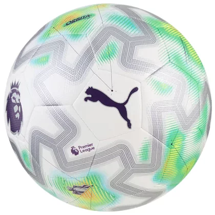 Puma Orbita Cup Premier League Ball 084898-01