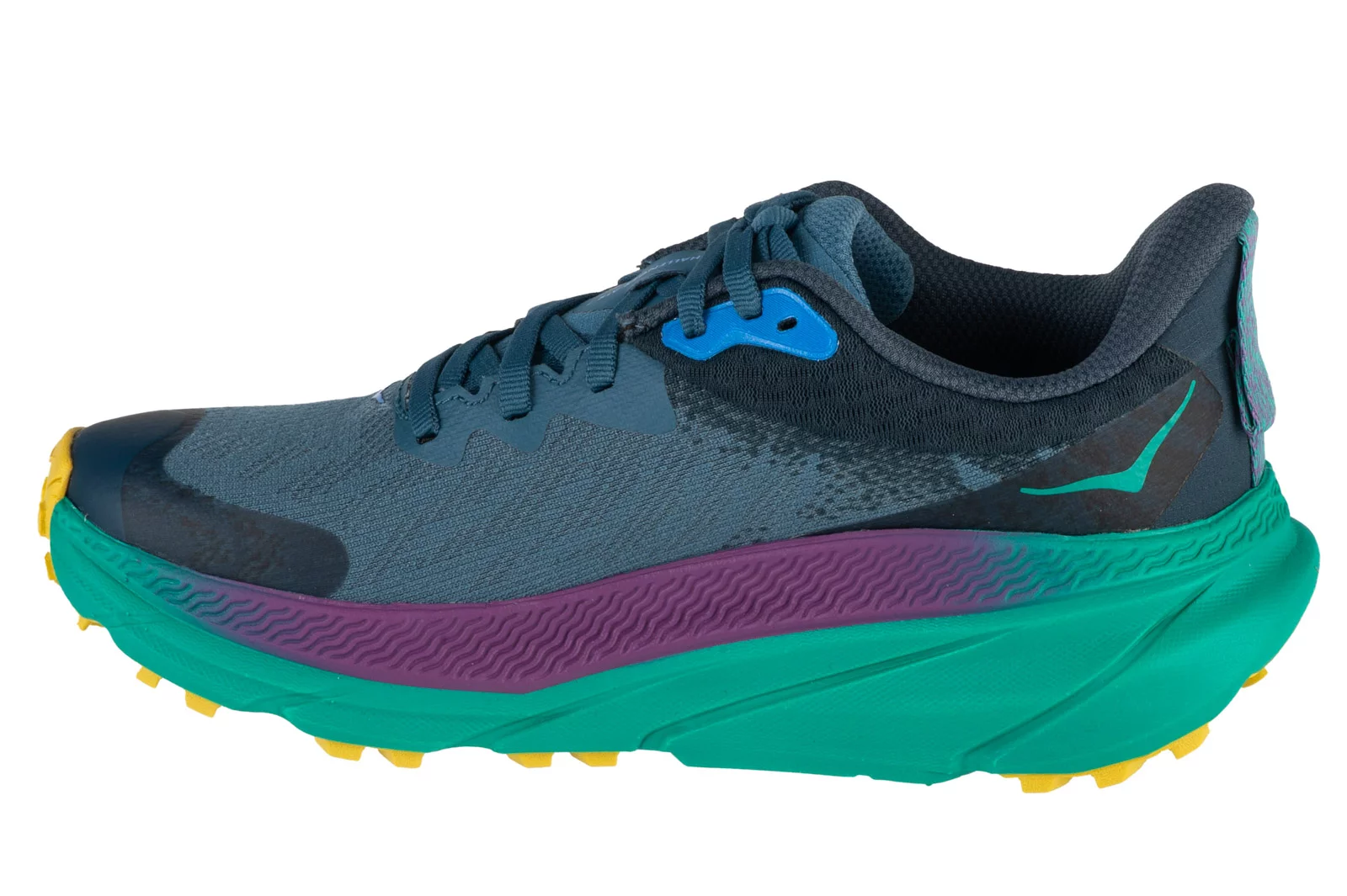 Pantofi alergare Hoka W Challenger Art 7 GTX 1134502F-RLT
