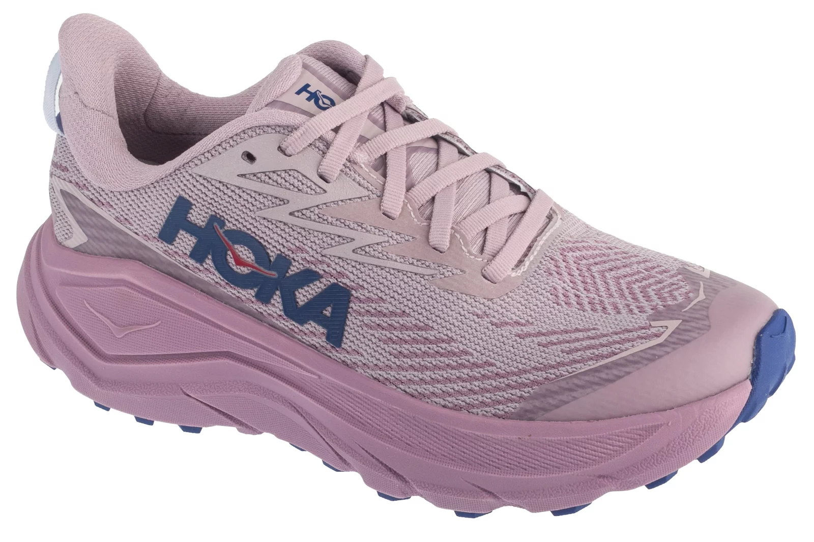 Hoka W Challenger 8 GTX 1171959-FMV, Damskie, Fioletowe, buty do biegania, tkanina, rozmiar: 36
