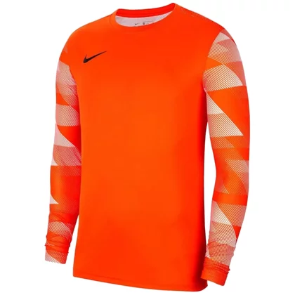 Nike Dry Park IV JSY Jr LS CJ6072-819