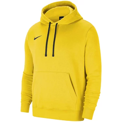 Nike Team Park 20 Hoodie CW6894-719