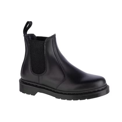 Dr. Martens 2976 Mono DM25685001