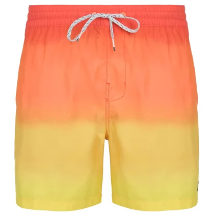 Billabong All Day Fade 16" Shorts EBYJV00121-YGJ1