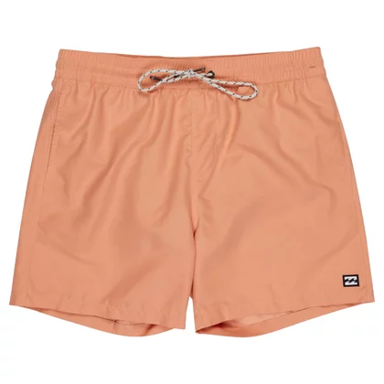 Billabong All Day Layback 16" Shorts EBYJV00134-NHY0