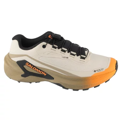 Salomon Genesis 2 GTX W L45388200