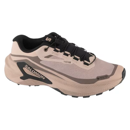 Salomon Genesis 2 GTX W L45388300