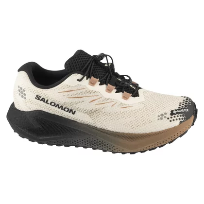 Salomon Aero Blaze 4 Grvl GTX L45403200