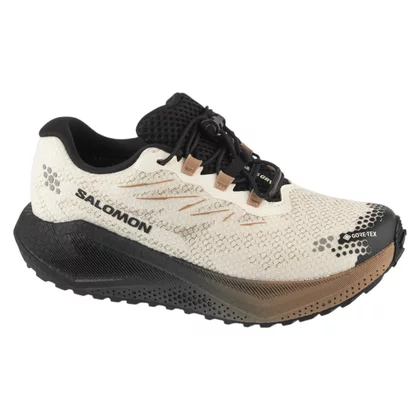 Salomon Aero Blaze 4 Grvl GTX W L45403900