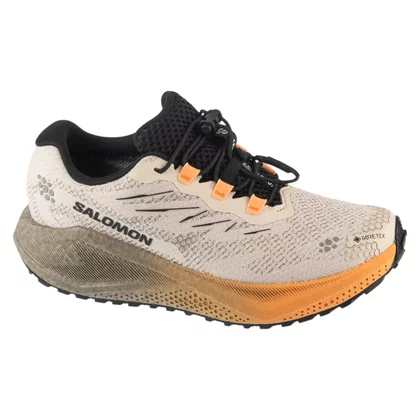 Salomon Aero Blaze 4 Grvl GTX W L45404000
