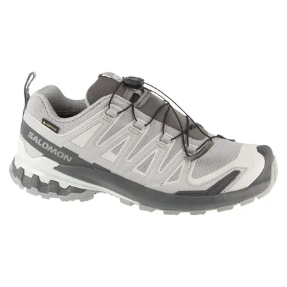 Salomon XA Pro 3D v9 GTX W L45412000