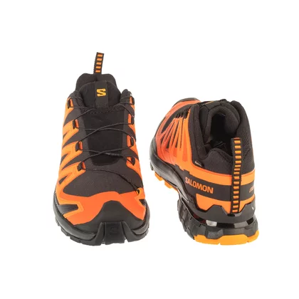 Salomon XA Pro 3D v9 GTX L47961000 - butyjana.com.ua