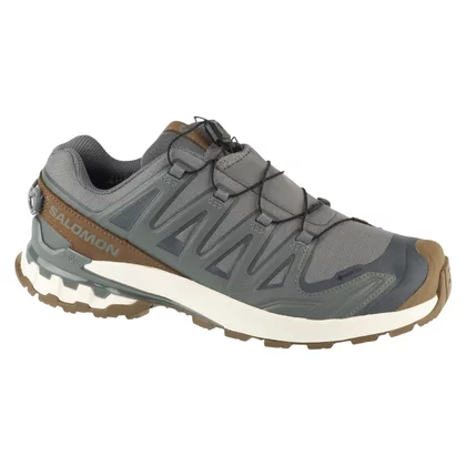 Salomon XA Pro 3D v9 GTX Lifelong L49296100