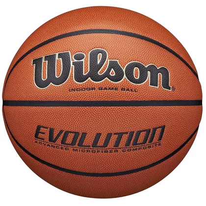 Wilson Evolution Indoor Game Ball WTB0516XBEMEA