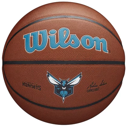 Wilson Team Alliance Charlotte Hornets Ball WTB3100XBCHA