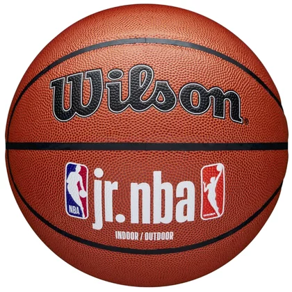 Wilson Jr NBA Fam Logo In/Out Ball WZ2009801XB