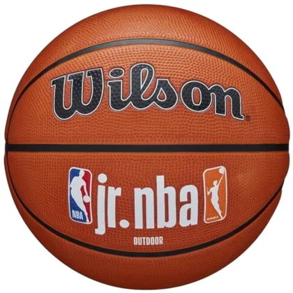 Wilson Jr NBA Fam Logo Authentic Outdoor Ball WZ3011801XB