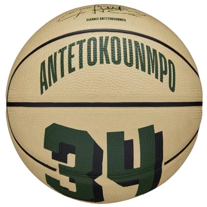 Wilson NBA Player Icon Giannis Antetokounmpo Mini Ball WZ4007501XB