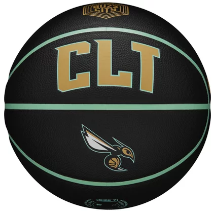 Wilson NBA Team City Collector Charlotte Hornets Ball WZ4016404ID