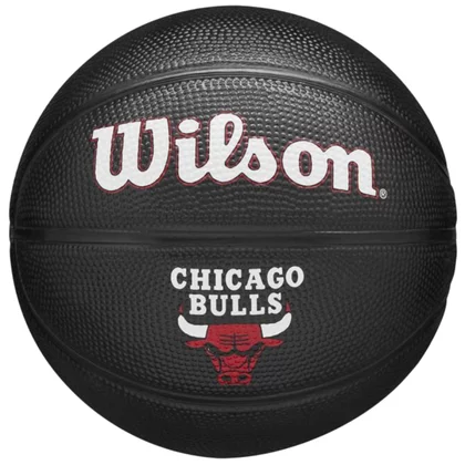 Wilson Team Tribute Chicago Bulls Mini Ball WZ4017602XB